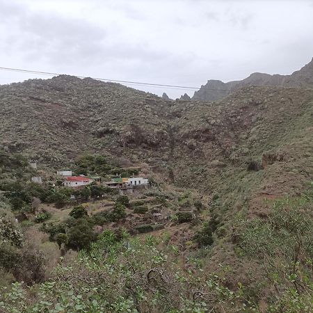 Tenerife 산타크루스데 테네리페 외부 사진