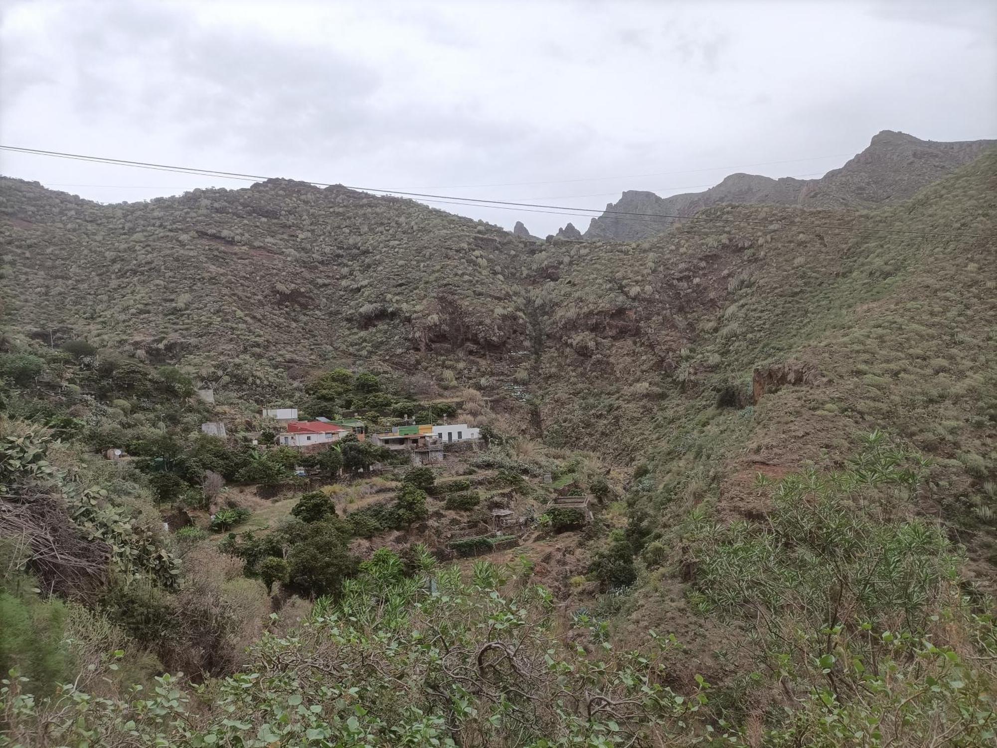 Tenerife 산타크루스데 테네리페 외부 사진
