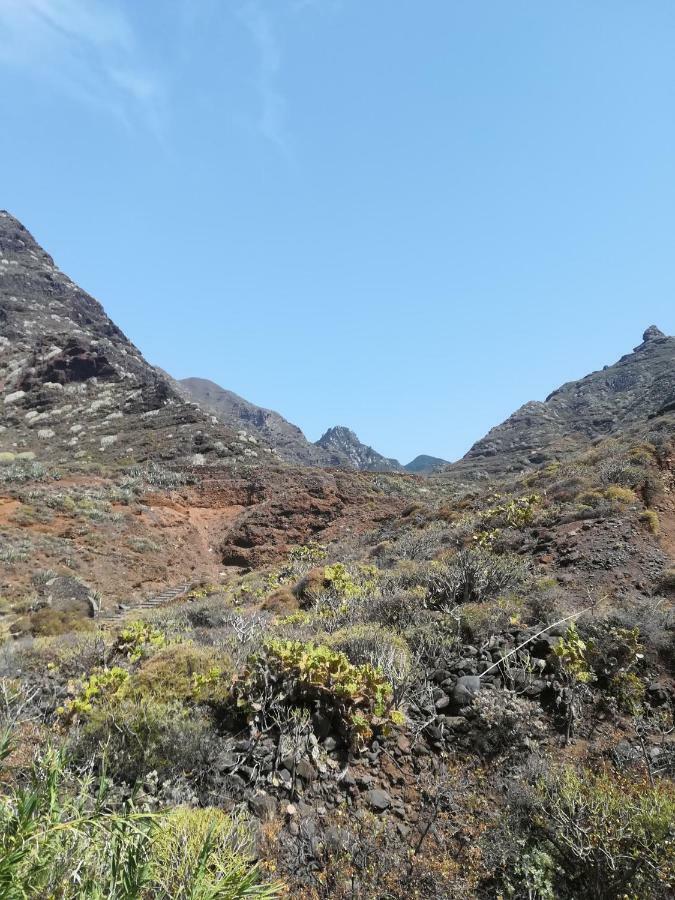 Tenerife 산타크루스데 테네리페 외부 사진