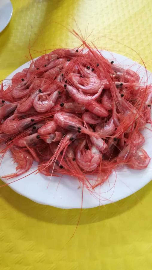 Tenerife 산타크루스데 테네리페 외부 사진