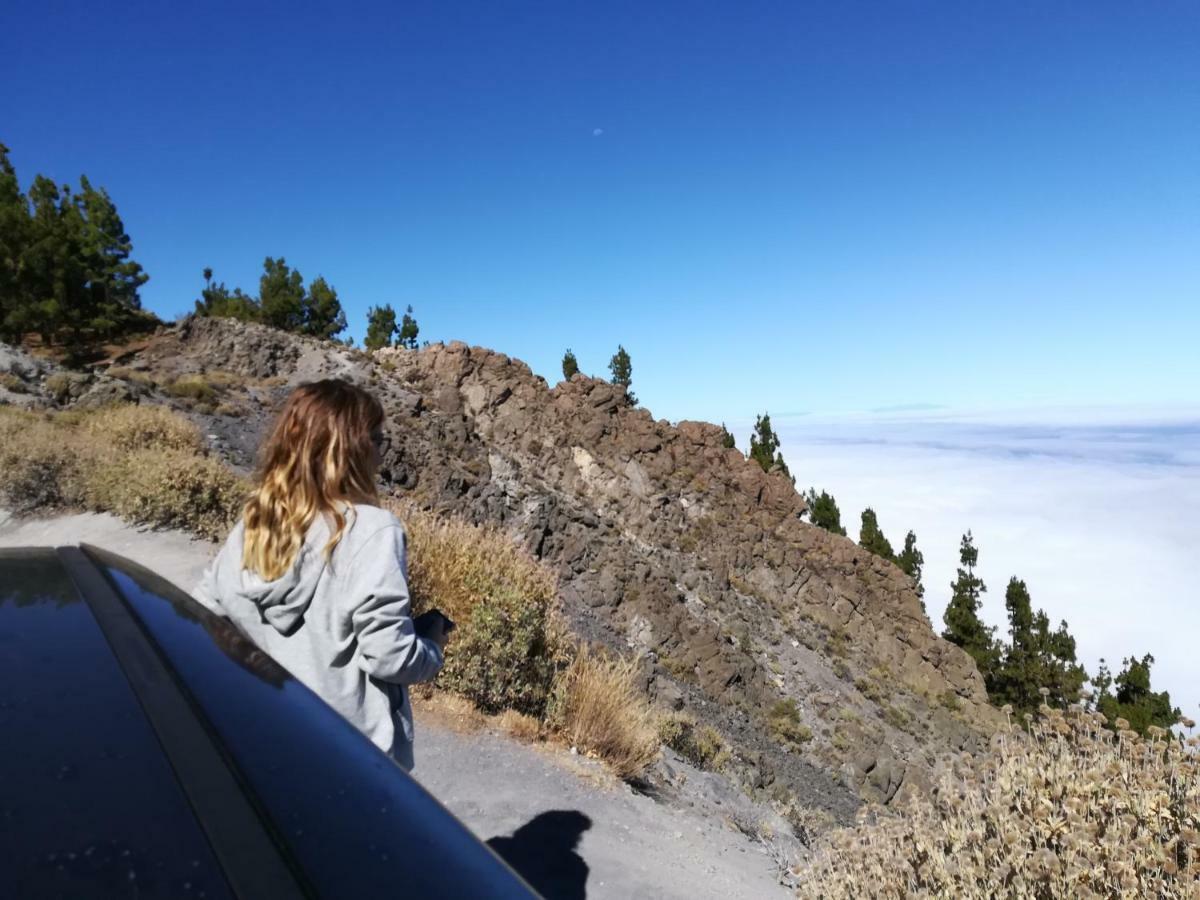 Tenerife 산타크루스데 테네리페 외부 사진