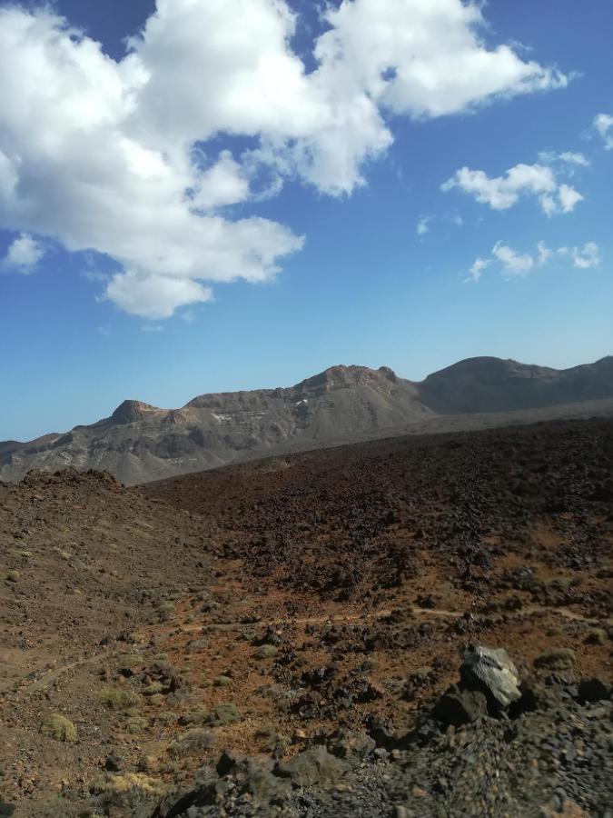 Tenerife 산타크루스데 테네리페 외부 사진