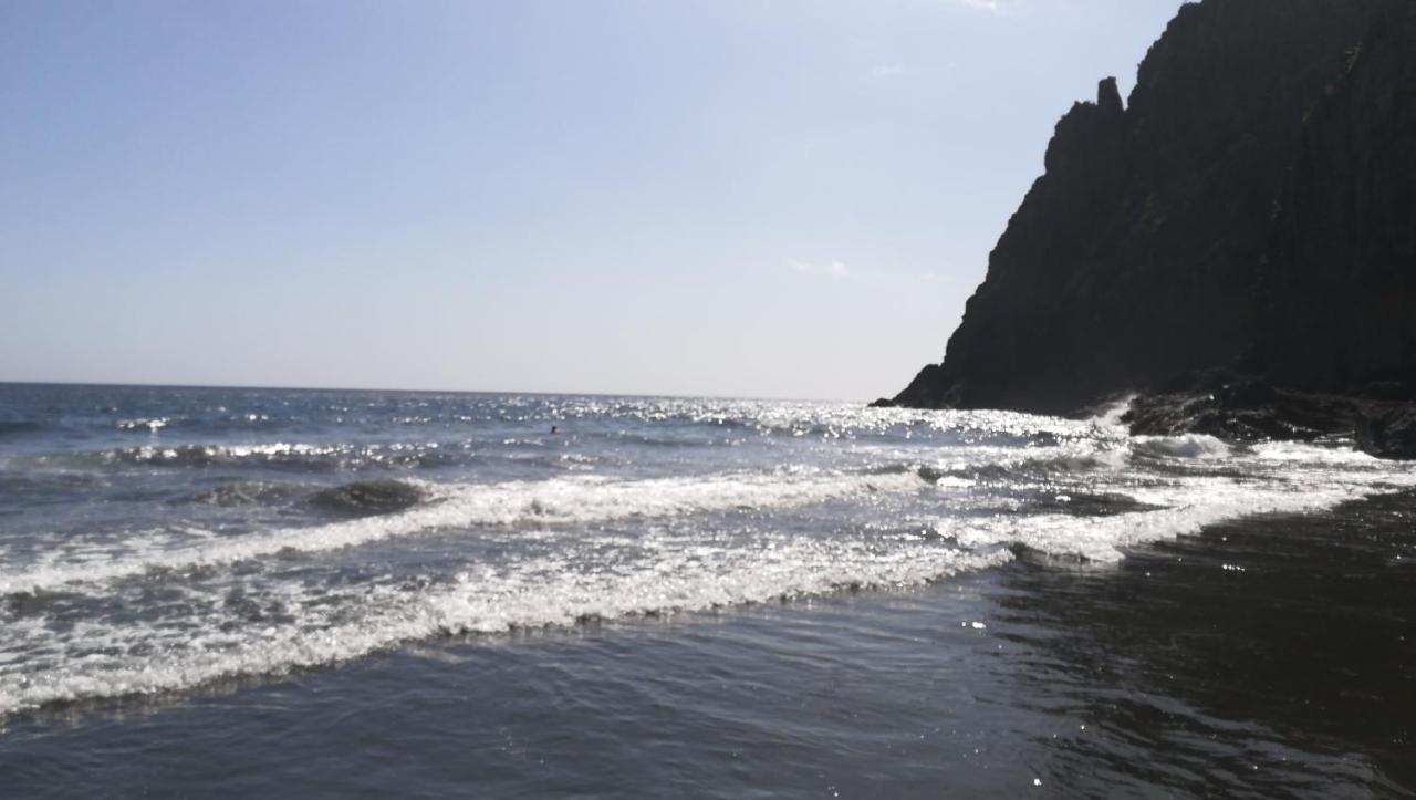 Tenerife 산타크루스데 테네리페 외부 사진